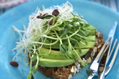 Avocado smörgås 0025