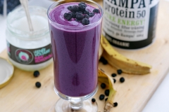 Hampa-smoothie_0006